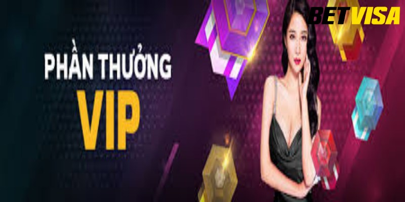 Những quyền lợi tài chính nổi bật dành cho thành viên VIP